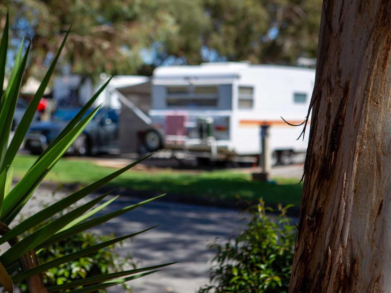 Echo Holiday Parks - Windsor Gardens أدليد المظهر الخارجي الصورة
